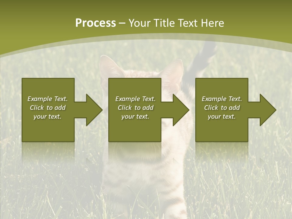 Tree Baby Breed PowerPoint Template