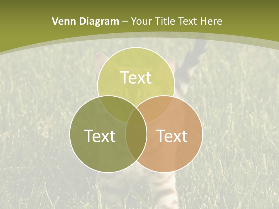 Tree Baby Breed PowerPoint Template