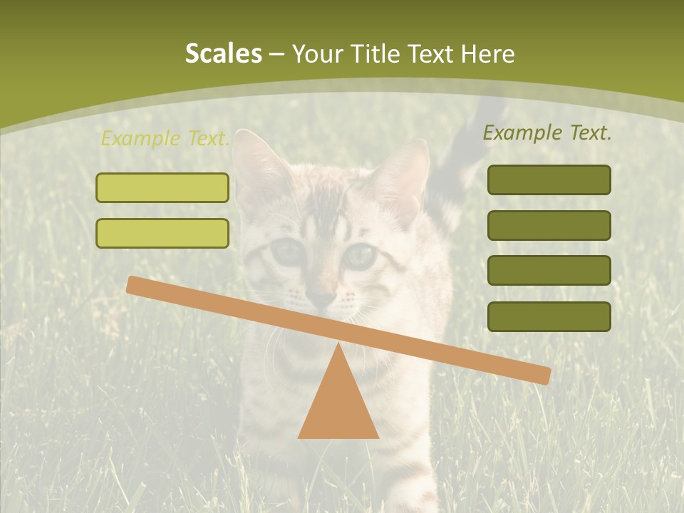 Tree Baby Breed PowerPoint Template