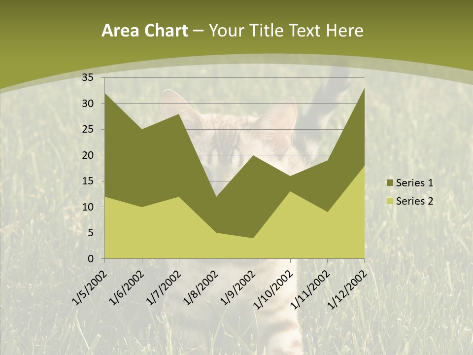 Tree Baby Breed PowerPoint Template