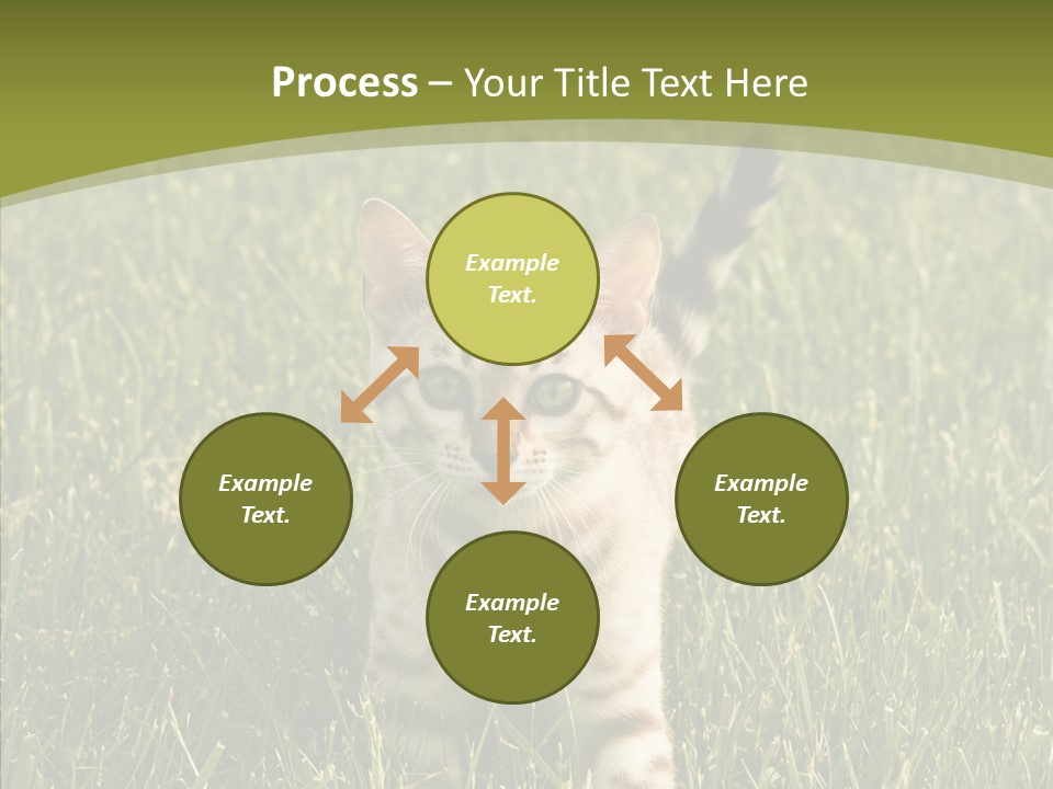 Tree Baby Breed PowerPoint Template