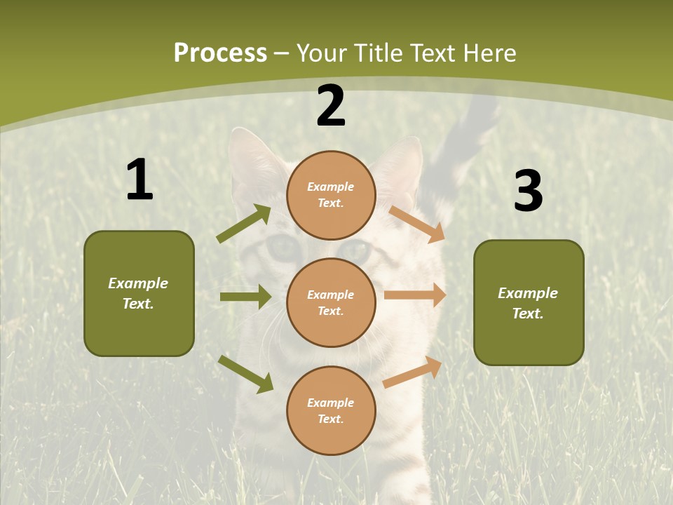 Tree Baby Breed PowerPoint Template