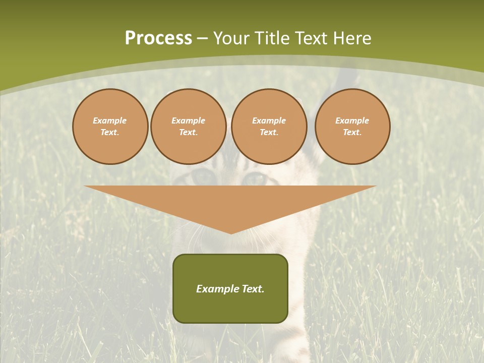 Tree Baby Breed PowerPoint Template