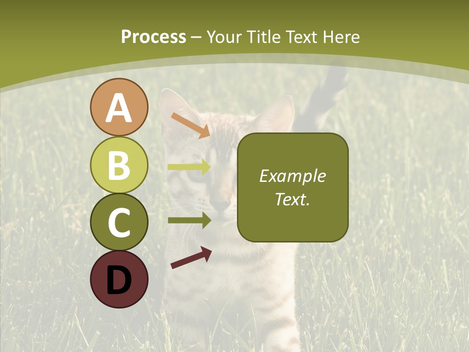Tree Baby Breed PowerPoint Template