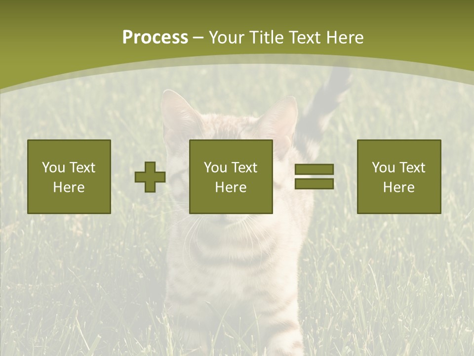 Tree Baby Breed PowerPoint Template