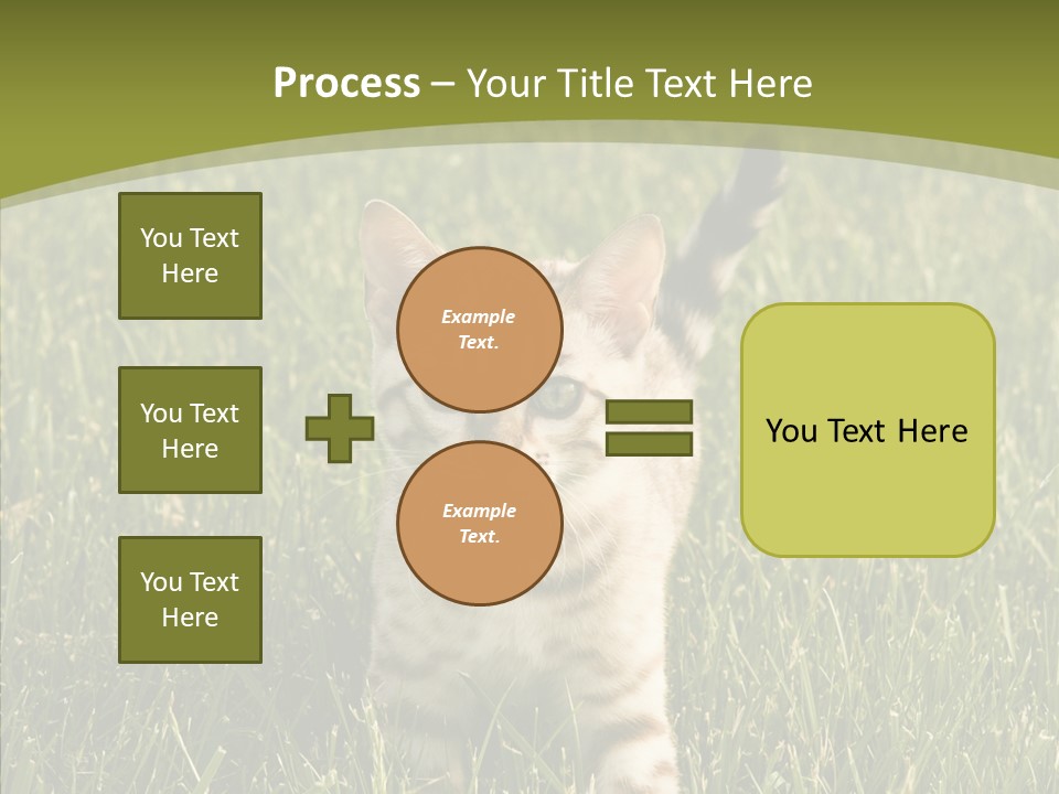 Tree Baby Breed PowerPoint Template