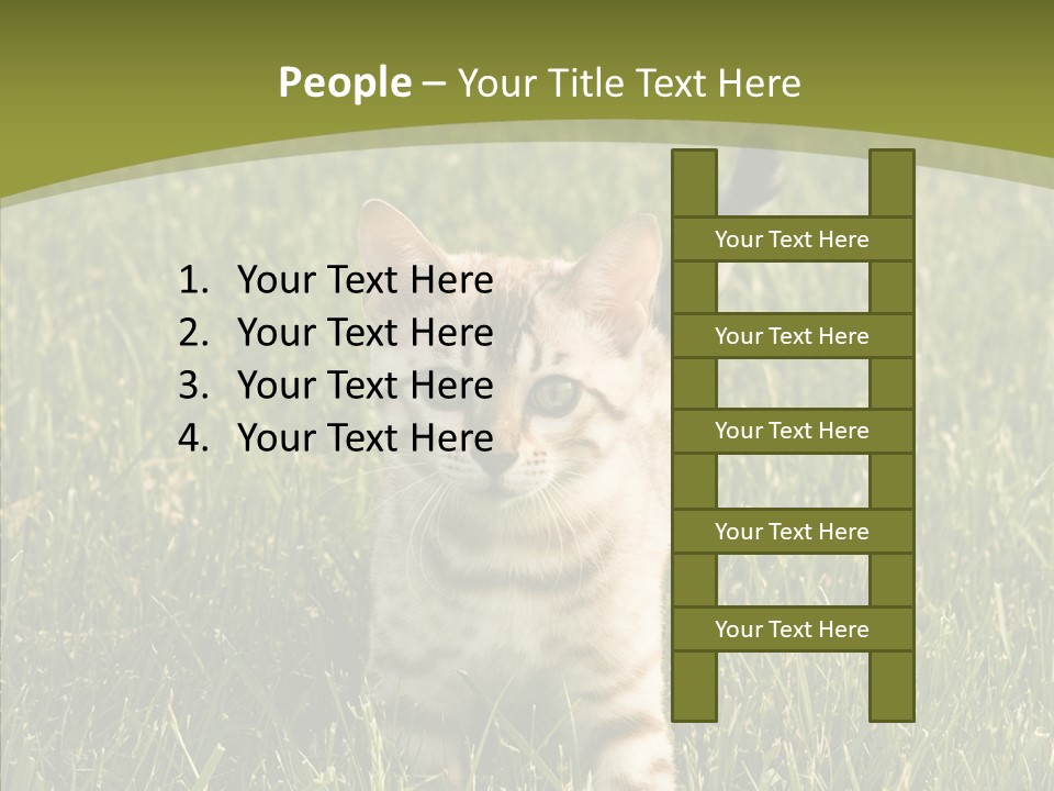 Tree Baby Breed PowerPoint Template