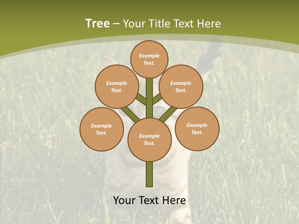 Tree Baby Breed PowerPoint Template