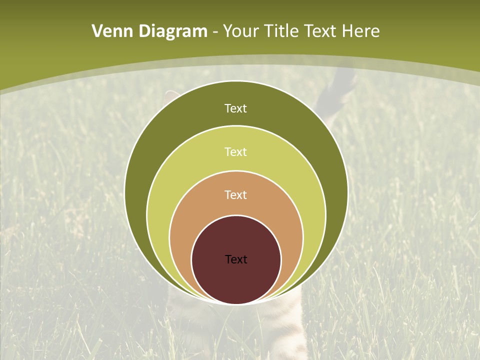 Tree Baby Breed PowerPoint Template