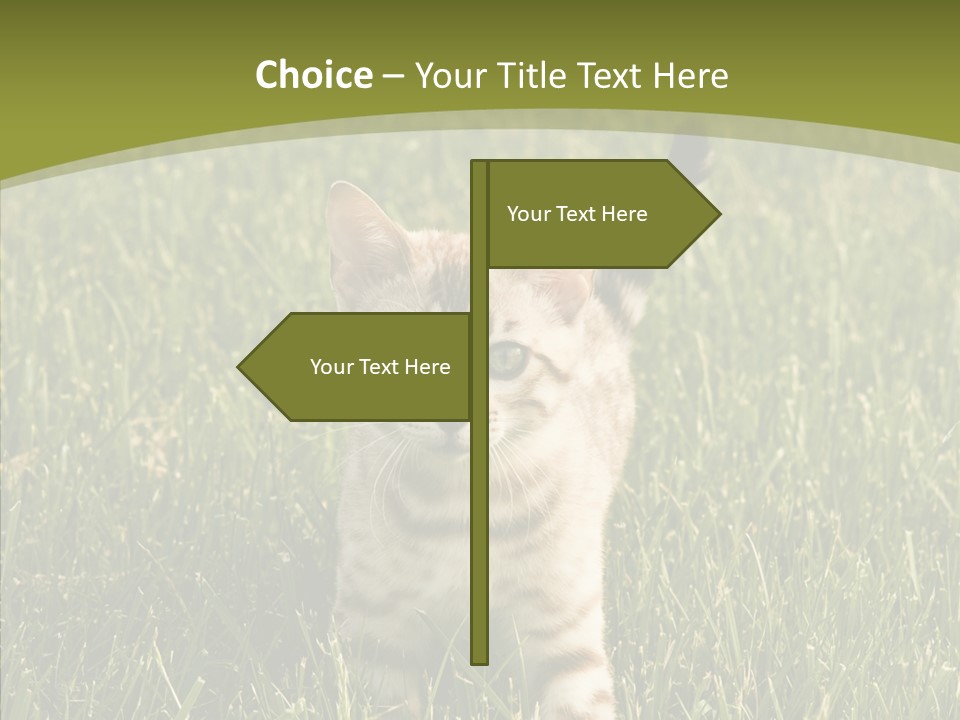 Tree Baby Breed PowerPoint Template