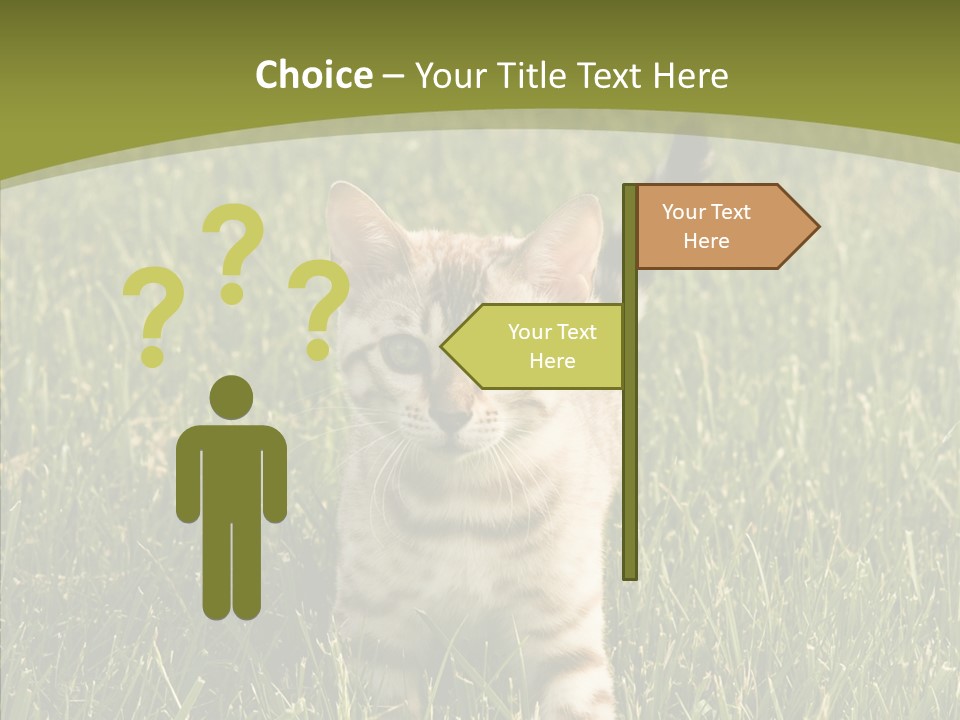 Tree Baby Breed PowerPoint Template