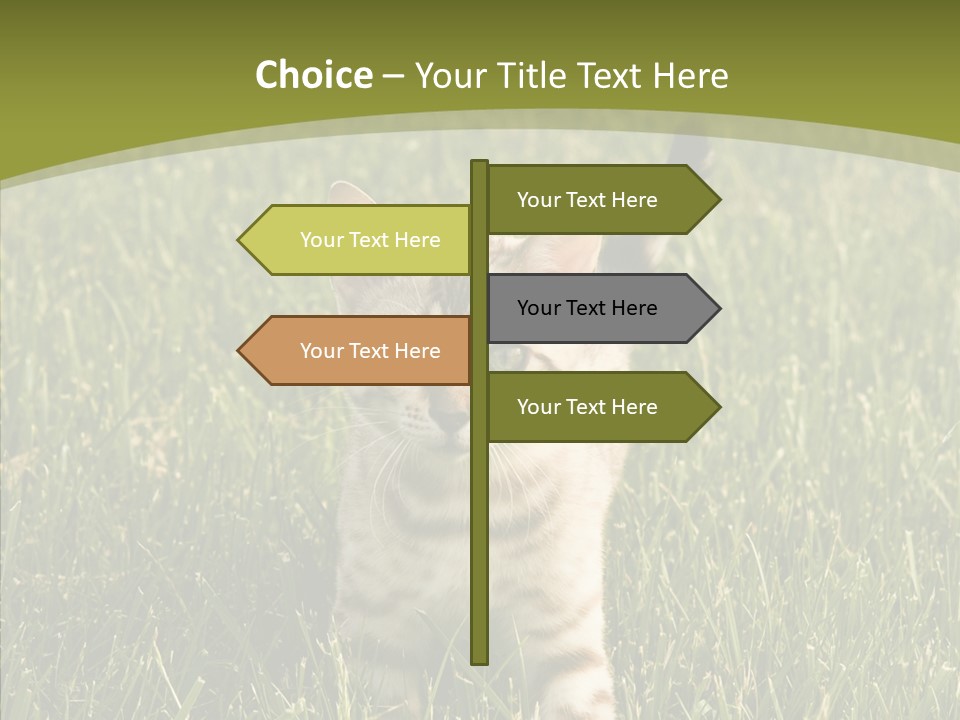 Tree Baby Breed PowerPoint Template