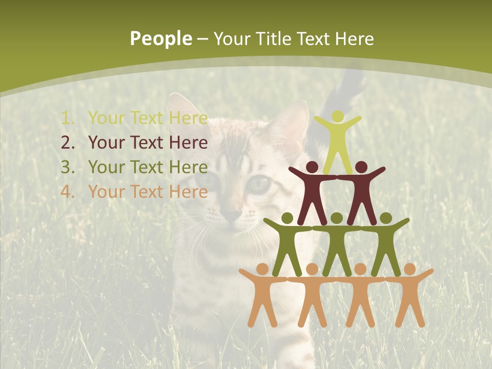 Tree Baby Breed PowerPoint Template