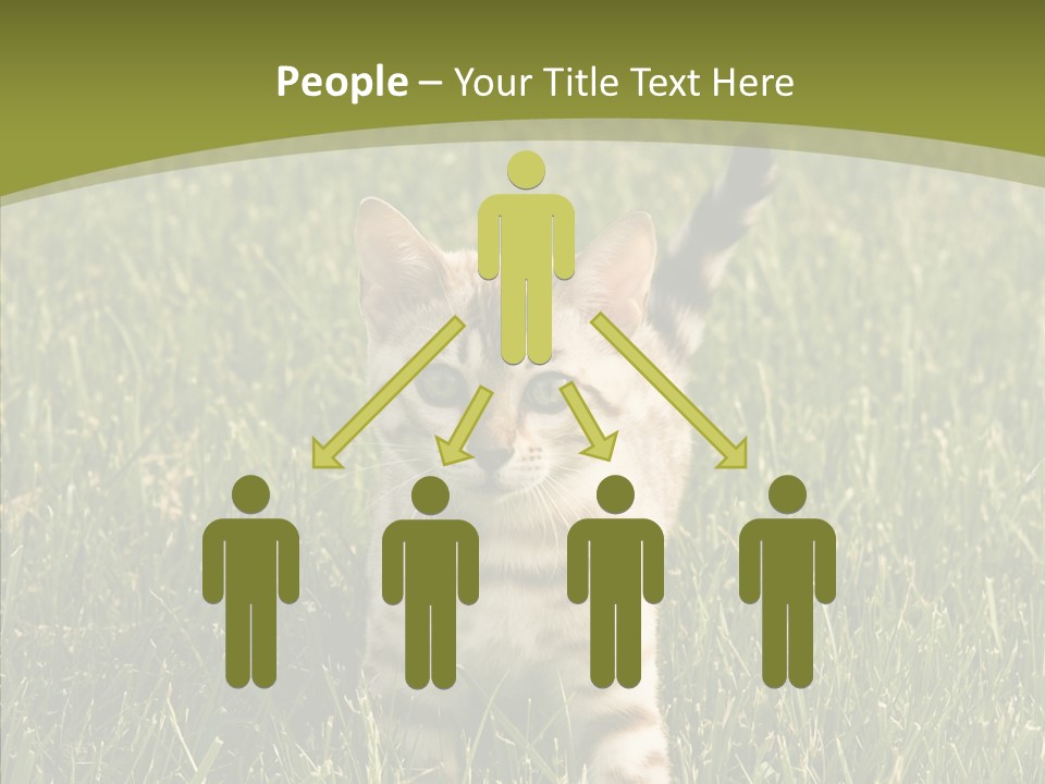 Tree Baby Breed PowerPoint Template