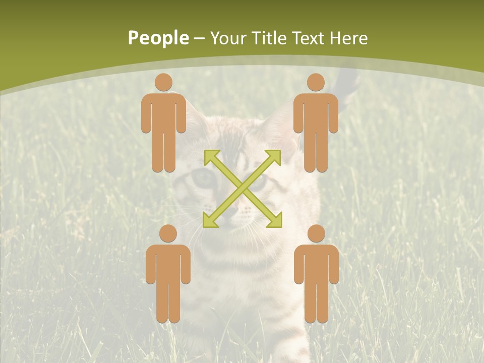 Tree Baby Breed PowerPoint Template