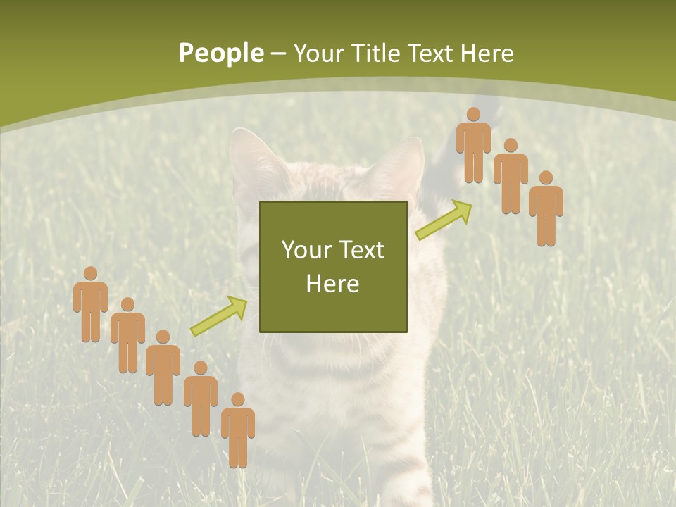 Tree Baby Breed PowerPoint Template