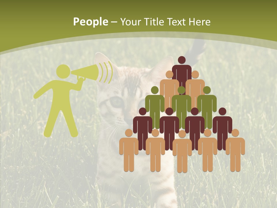 Tree Baby Breed PowerPoint Template