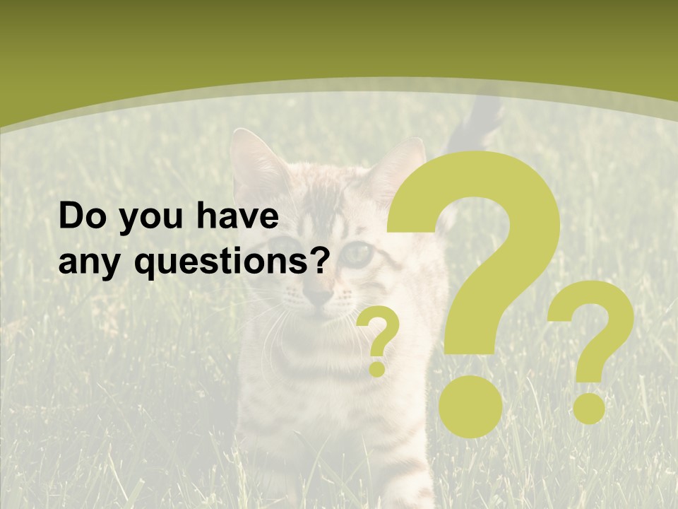 Tree Baby Breed PowerPoint Template