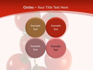 Meeting Itting Office PowerPoint Template