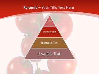 Meeting Itting Office PowerPoint Template