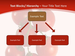 Meeting Itting Office PowerPoint Template