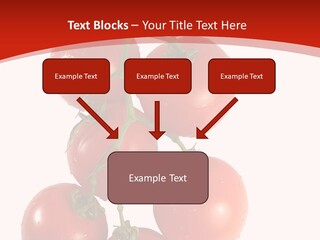 Meeting Itting Office PowerPoint Template