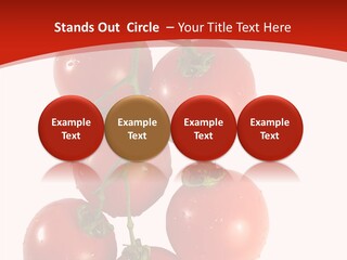 Meeting Itting Office PowerPoint Template