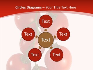Meeting Itting Office PowerPoint Template