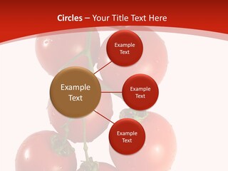 Meeting Itting Office PowerPoint Template