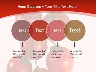 Meeting Itting Office PowerPoint Template