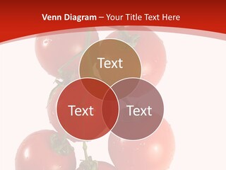 Meeting Itting Office PowerPoint Template