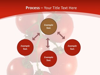 Meeting Itting Office PowerPoint Template