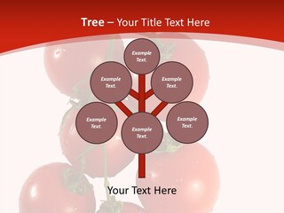 Meeting Itting Office PowerPoint Template