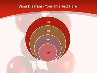 Meeting Itting Office PowerPoint Template