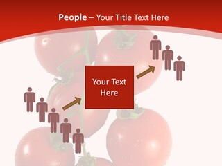 Meeting Itting Office PowerPoint Template