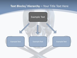 Spooky Model Reflection PowerPoint Template