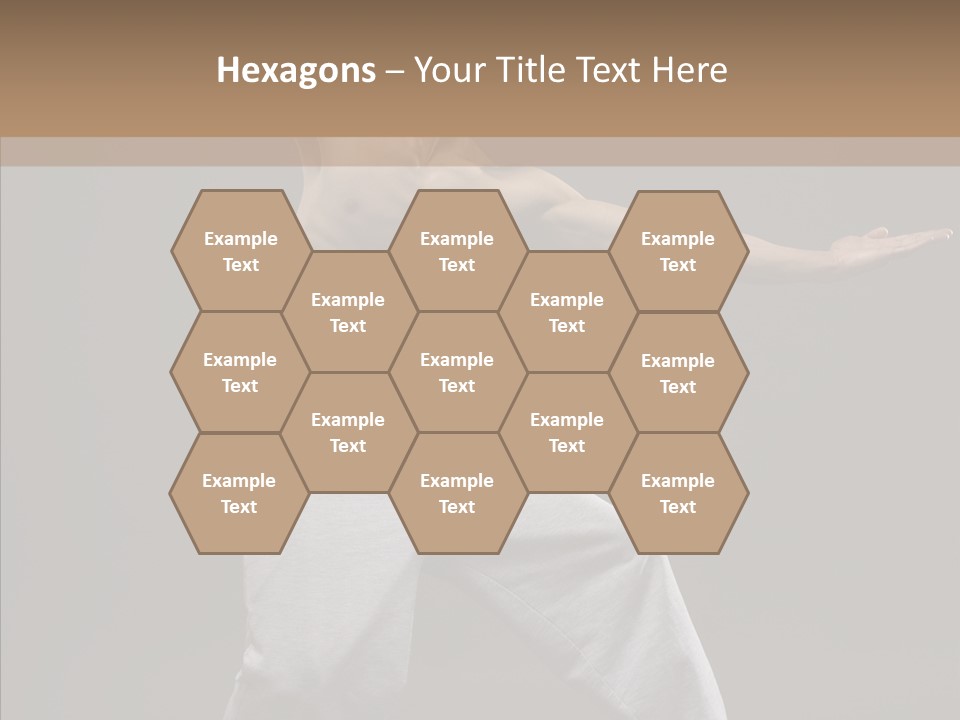 Japan Fly Kwon PowerPoint Template