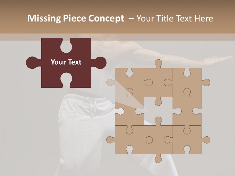 Japan Fly Kwon PowerPoint Template