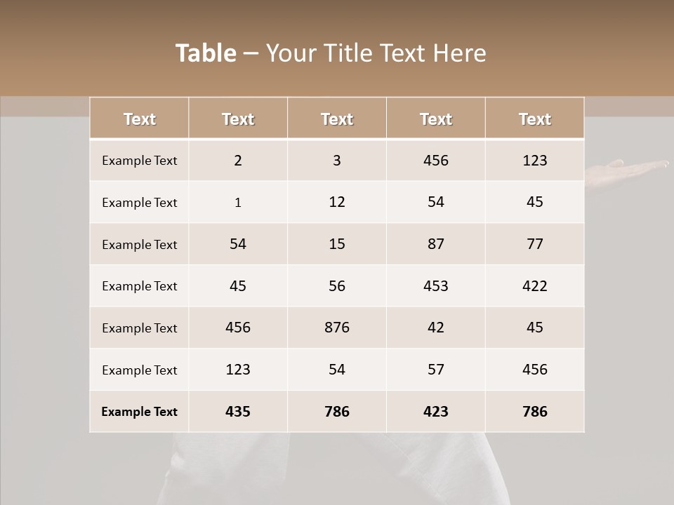 Japan Fly Kwon PowerPoint Template