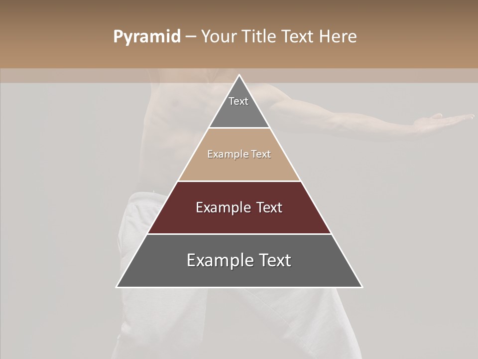 Japan Fly Kwon PowerPoint Template