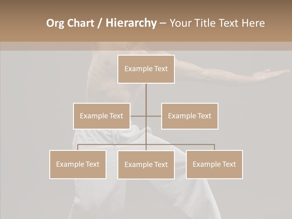 Japan Fly Kwon PowerPoint Template