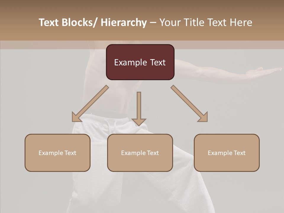 Japan Fly Kwon PowerPoint Template