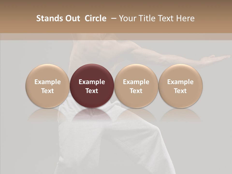 Japan Fly Kwon PowerPoint Template