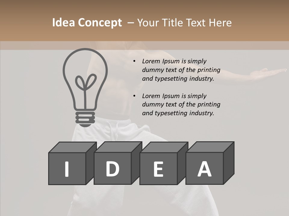 Japan Fly Kwon PowerPoint Template