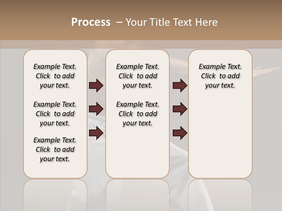 Japan Fly Kwon PowerPoint Template