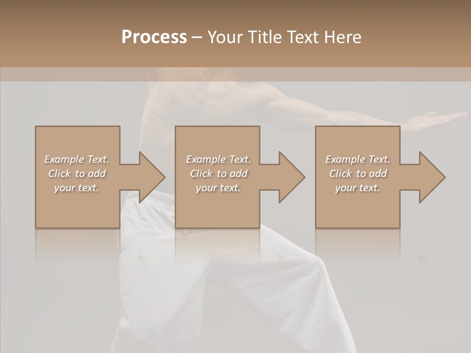 Japan Fly Kwon PowerPoint Template