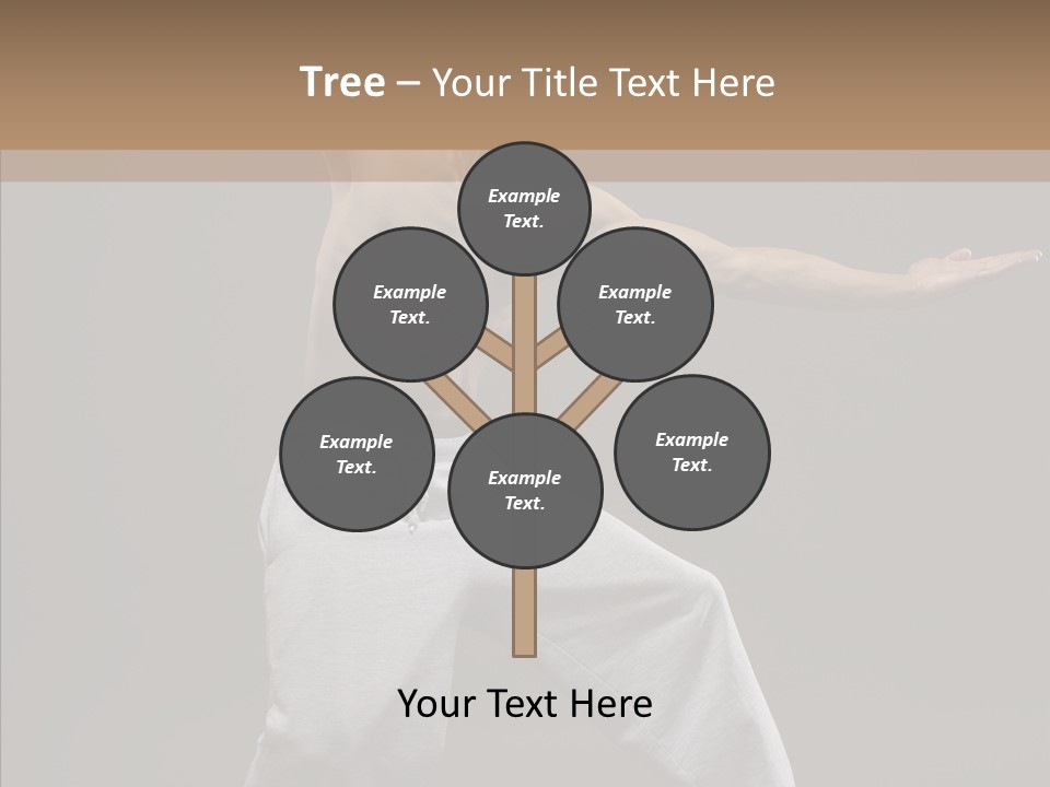 Japan Fly Kwon PowerPoint Template