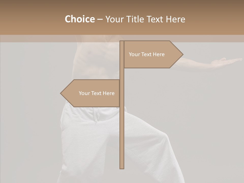 Japan Fly Kwon PowerPoint Template