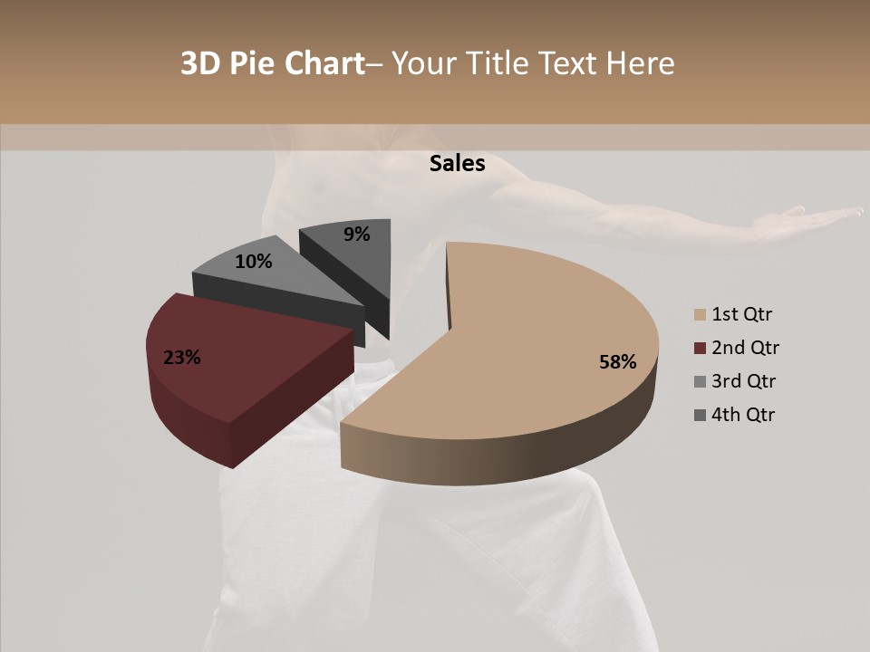 Japan Fly Kwon PowerPoint Template
