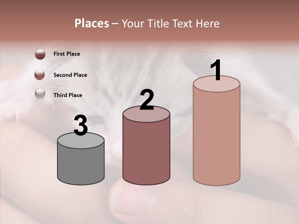 People Di Cu Ion Teamwork PowerPoint Template